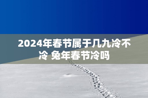 2025年春节属于几九冷不冷 蛇年春节冷吗