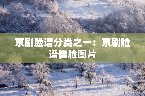 京剧脸谱分类之一：京剧脸谱僧脸图片