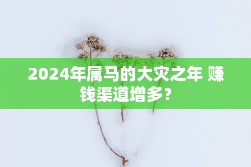 2025年属马的大灾之年 赚钱渠道增多？
