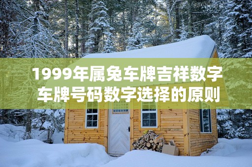 1999年属兔车牌吉祥数字 车牌号码数字选择的原则