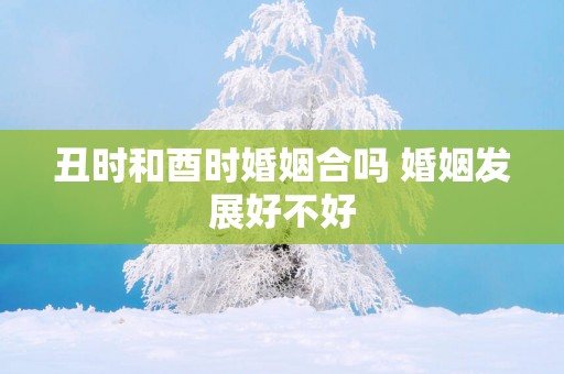 丑时和酉时婚姻合吗 婚姻发展好不好