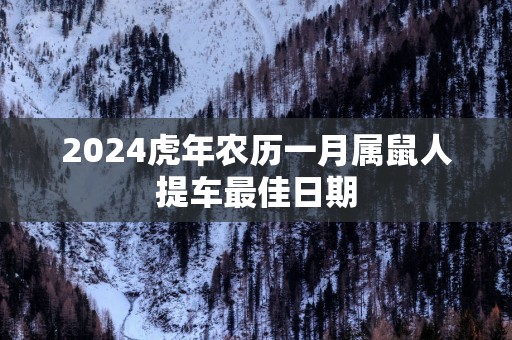 2025蛇年农历一月属鼠人提车最佳日期