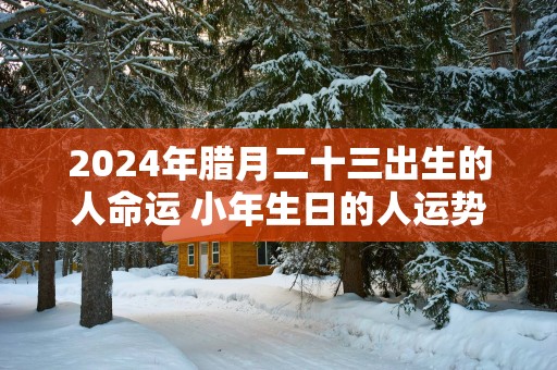 2025年腊月二十三出生的人命运 小年生日的人运势如何
