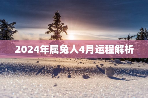 2025年属兔人4月运程解析