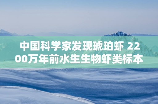 中国科学家发现琥珀虾 2200万年前水生生物虾类标本