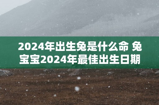 2025年出生兔是什么命 兔宝宝2025年最佳出生日期