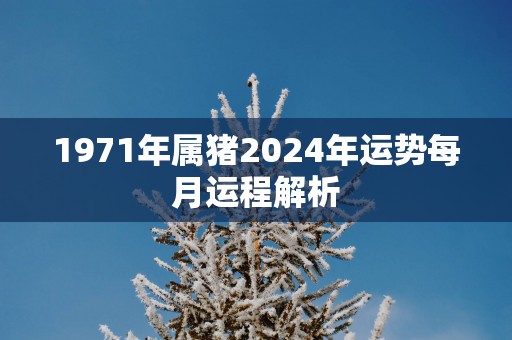 1971年属猪2025年运势每月运程解析