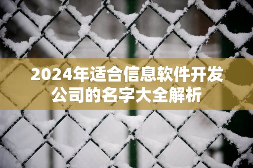 2025年适合信息软件开发公司的名字大全解析