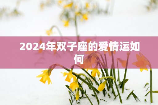 2025年双子座的爱情运如何