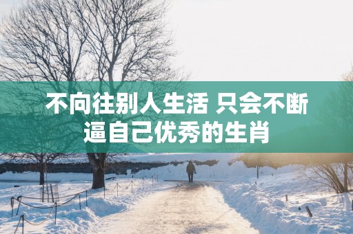 不向往别人生活 只会不断逼自己优秀的生肖
