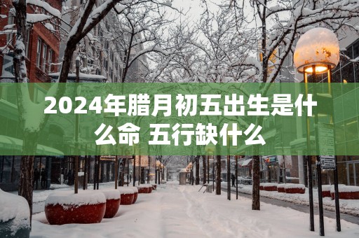 2025年腊月初五出生是什么命 五行缺什么