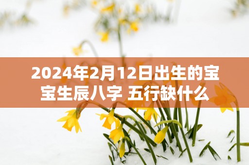 2025年2月12日出生的宝宝生辰八字 五行缺什么