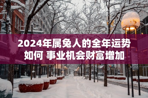 2025年属兔人的全年运势如何 事业机会财富增加