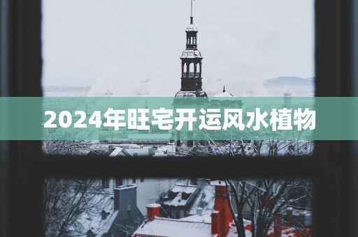 2025年旺宅开运风水植物
