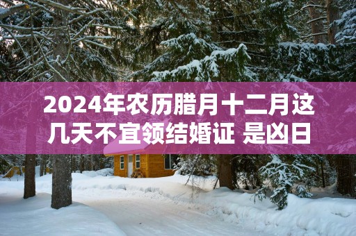 2025年农历腊月十二月这几天不宜领结婚证 是凶日