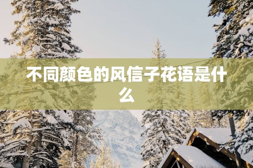 不同颜色的风信子花语是什么