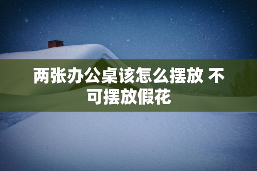 两张办公桌该怎么摆放 不可摆放假花