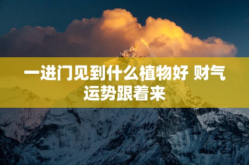 一进门见到什么植物好 财气运势跟着来