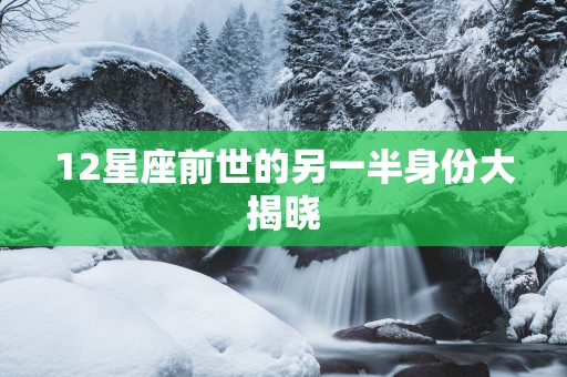 12星座前世的另一半身份大揭晓