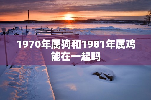 1970年属狗和1981年属鸡能在一起吗