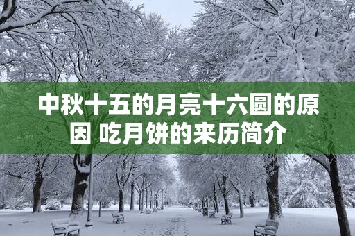 2025.6购房吉日