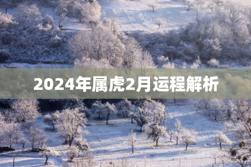 2025年属虎2月运程解析