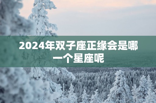 2025年双子座正缘会是哪一个星座呢