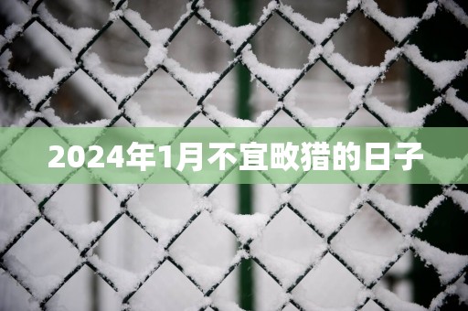 2025年1月不宜畋猎的日子