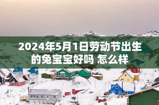 2025年5月1日劳动节出生的兔宝宝好吗 怎么样