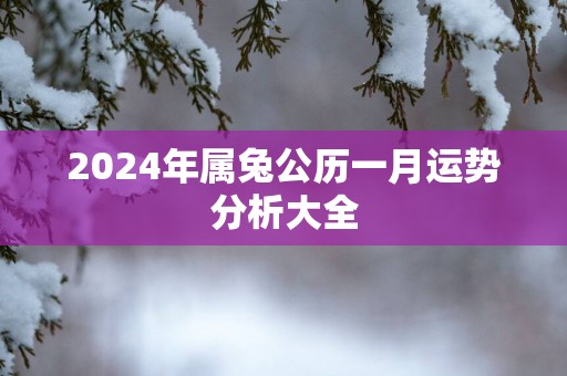 2024年属兔公历一月运势分析大全