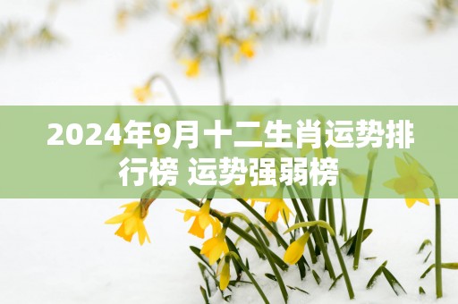 2024年9月十二生肖运势排行榜 运势强弱榜