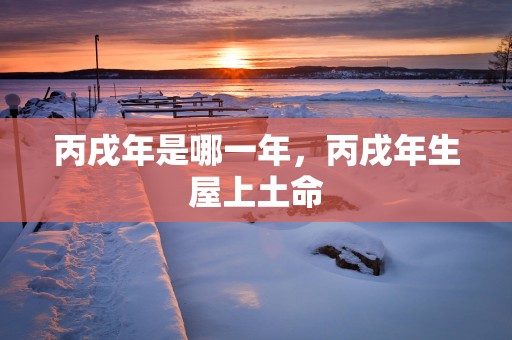 丙戌年是哪一年，丙戌年生屋上土命