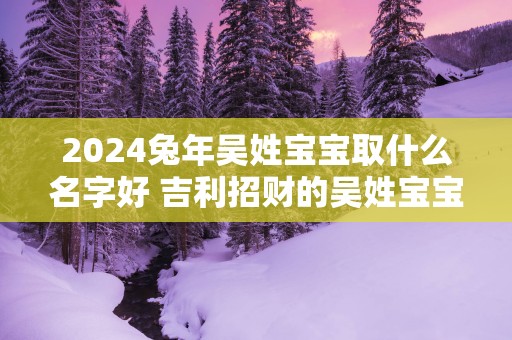 2025蛇年吴姓宝宝取什么名字好 吉利招财的吴姓宝宝名字大全