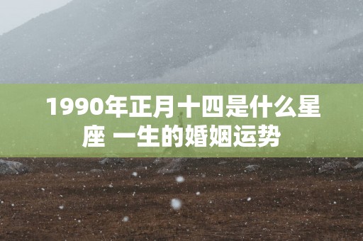 1990年正月十四是什么星座 一生的婚姻运势