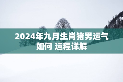 2025年九月生肖猪男运气如何 运程详解