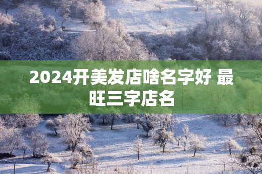 2025开美发店啥名字好 最旺三字店名