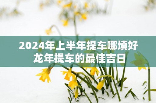 2025年上半年提车哪填好 蛇年提车的最佳吉日