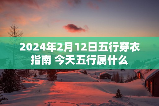 2025年2月12日五行穿衣指南 今天五行属什么