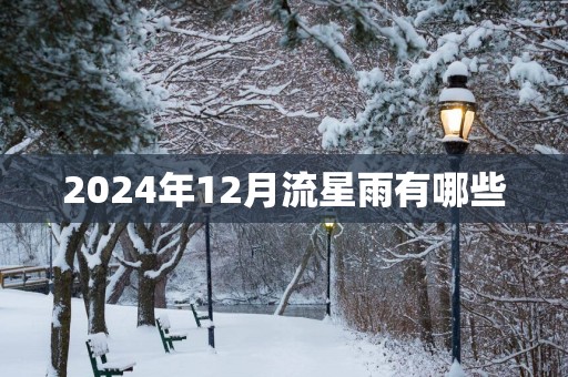 2025年12月流星雨有哪些