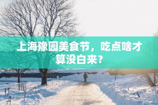 上海豫园美食节，吃点啥才算没白来？