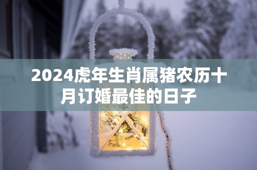 2025蛇年生肖属猪农历十月订婚最佳的日子