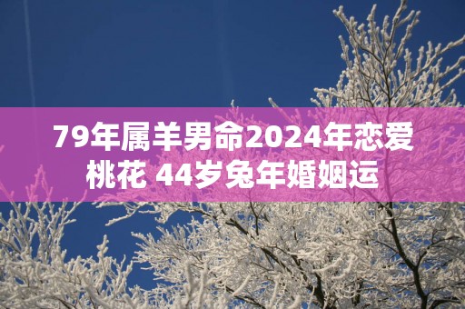 79年属羊男命2025年恋爱桃花 44岁蛇年婚姻运