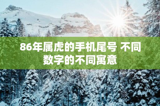 86年属虎的手机尾号 不同数字的不同寓意