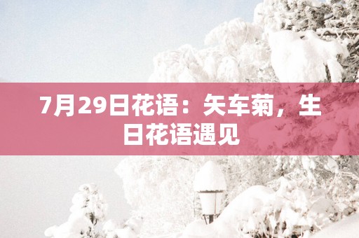 7月29日花语：矢车菊，生日花语遇见