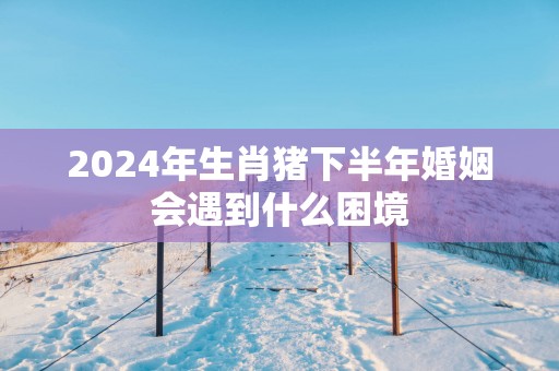2025年生肖猪下半年婚姻会遇到什么困境