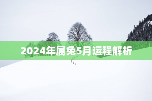 2024年属兔5月运程解析