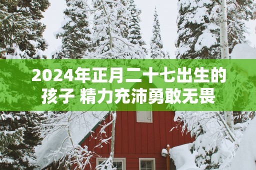 2025年正月二十七出生的孩子 精力充沛勇敢无畏