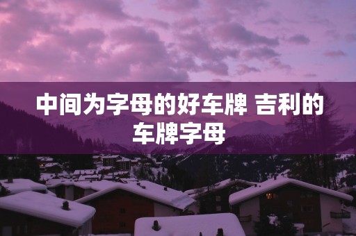 中间为字母的好车牌 吉利的车牌字母