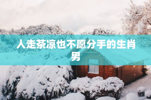 人走茶凉也不愿分手的生肖男