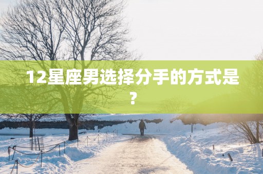 12星座男选择分手的方式是？